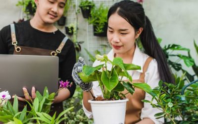 Mastering Indoor Plant Care: Expert Tips for Flourishing Foliage at Home