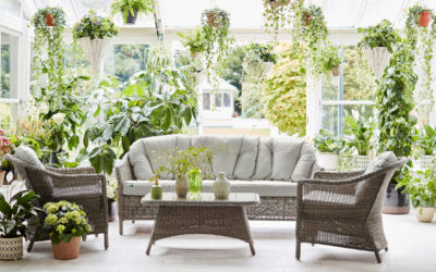 Creative Ways to Display Indoor Plants in Your Home